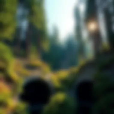 Environmental Impact of Culverts in Forestry Environmental impact of culverts in forestry