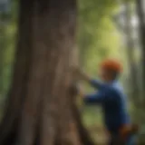 A professional assessing the health of a tree before trimming.