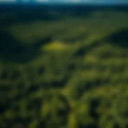 Aerial view of a lush forested landscape highlighting potential land for purchase