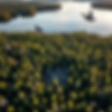 Loon Habitat Overview An aerial view of a lake habitat occupied by nesting loons