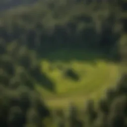 Aerial view of a well-managed grazing landscape showcasing sustainable practices