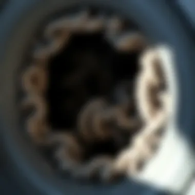 A close-up of a dryer vent showing lint buildup