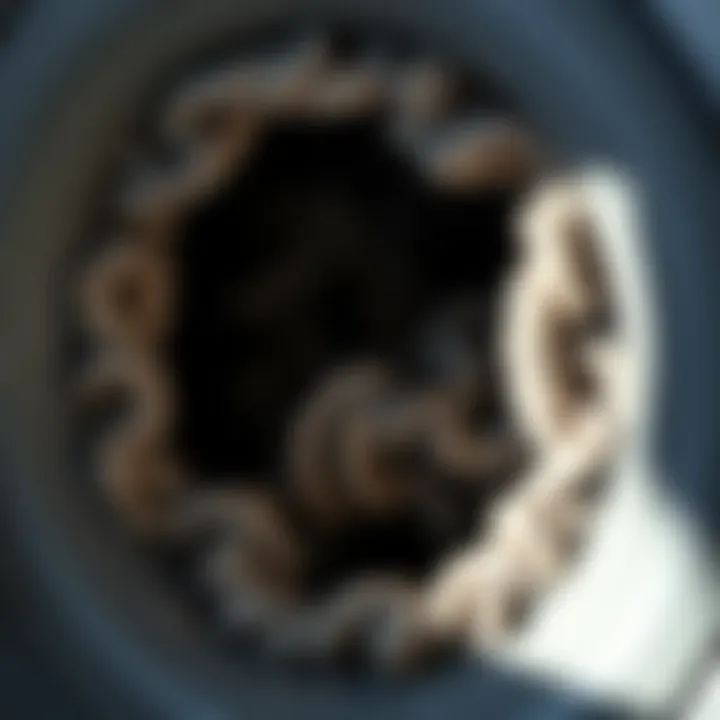 A close-up of a dryer vent showing lint buildup