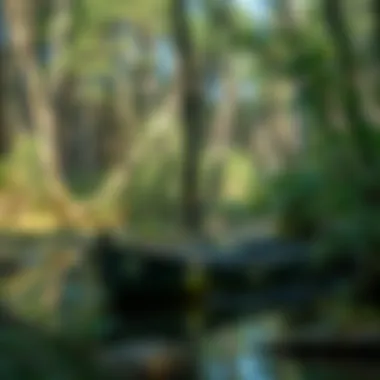 Conservation efforts for aquatic ecosystems