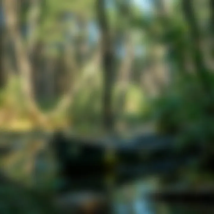 Conservation efforts for aquatic ecosystems