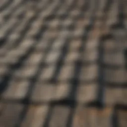 Close-up of asbestos roofing shingles showing texture and wear
