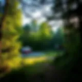 Tranquil view of Berry Bend Campground surrounded by lush woods