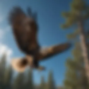 A close-up view of an eagle in flight against a clear blue sky.