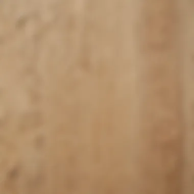 Close-up of birch plywood showcasing its unique texture and properties