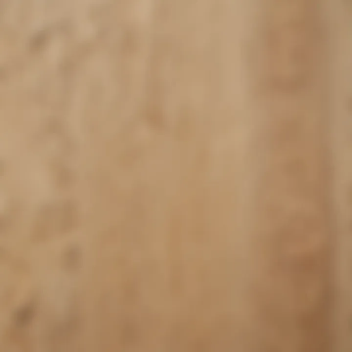 Close-up of birch plywood showcasing its unique texture and properties