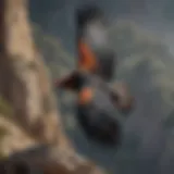 California condor soaring majestically in the sky