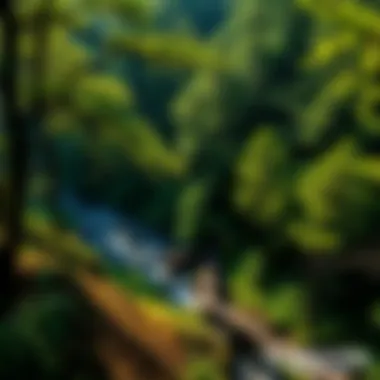 A stunning view of the lush landscape in Camp Creek State Park showcasing biodiversity.