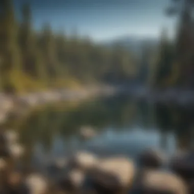 Scenic view of Lake Tahoe surrounded by pine forests