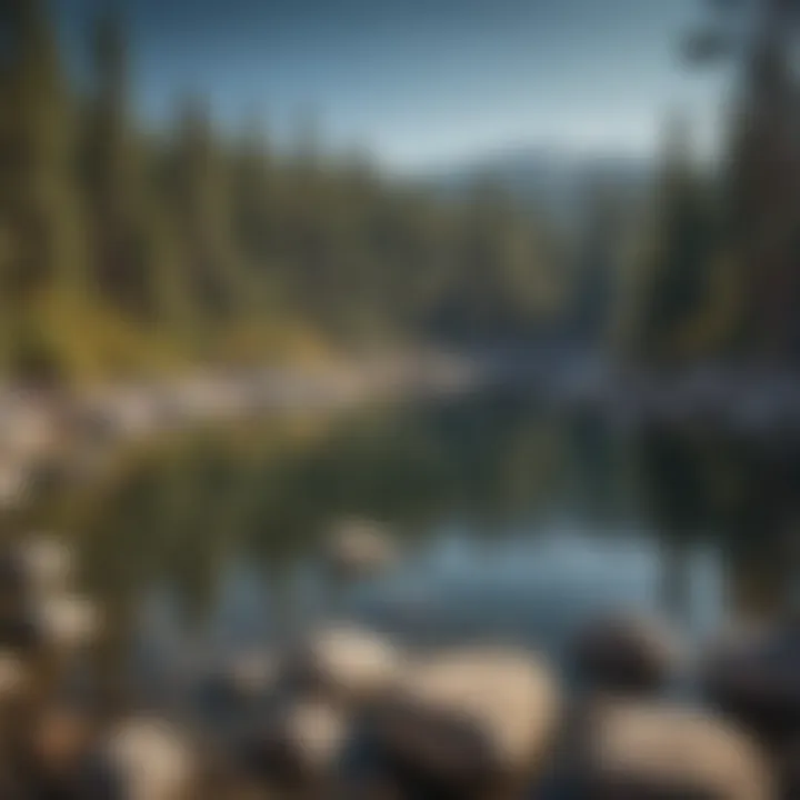 Scenic view of Lake Tahoe surrounded by pine forests