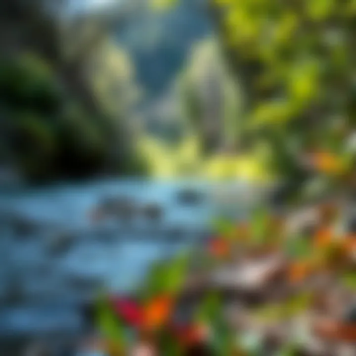 A close-up of diverse flora and fauna along the riverbank