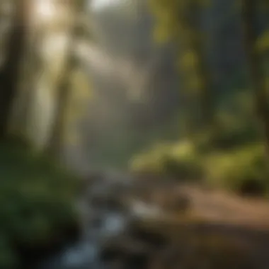 The serene beauty of the Columbia River Gorge canyon landscape