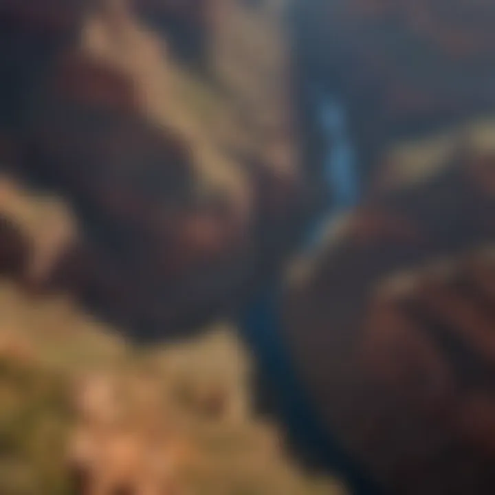 Aerial view of the Grand Canyon showcasing its vastness and intricate layers