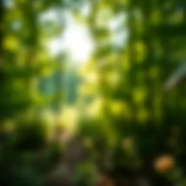 Illustration of conservation initiatives promoting biodiversity within Cove Lake State Park