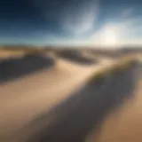 A panoramic view of the sand dunes at Dunes State Park under a clear blue sky