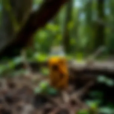 A natural repellant made from essential oils