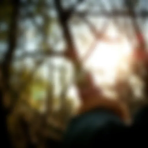 Mastering Pruning Techniques for Healthier Trees Proper pruning technique for tree branches