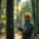 An arborist assessing a tree in a park setting