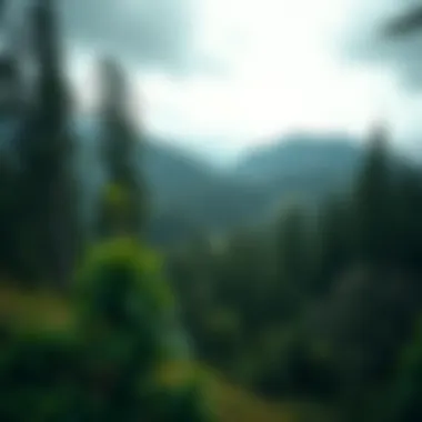 Sustainable Land Management Effects A scenic landscape showcasing the effects of sustainable land management