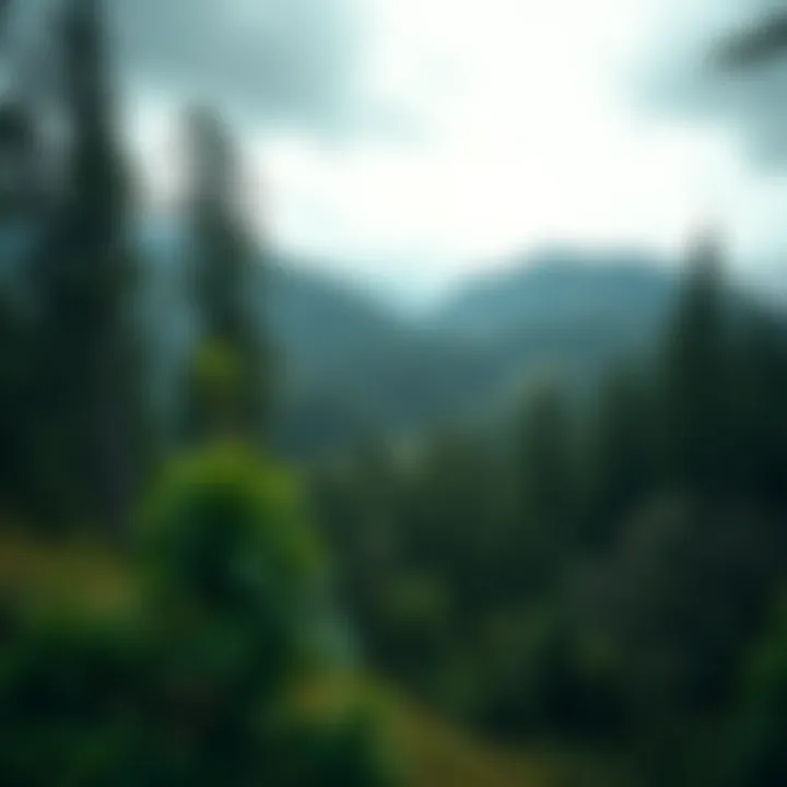 Sustainable Land Management Effects A scenic landscape showcasing the effects of sustainable land management