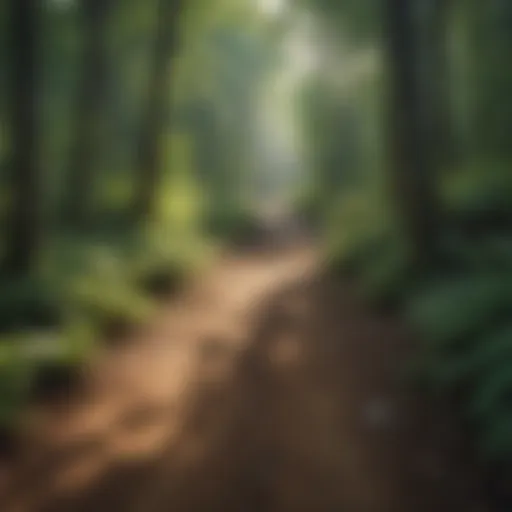 A scenic view of an ORV trail winding through lush Michigan forests