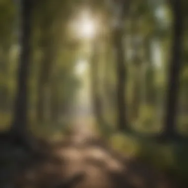 Sustainable Management Techniques for Preserving Aps Cottonwood Sustainable management practices for Aps Cottonwood