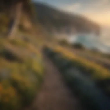 Coastal trail overlooking the ocean with wildflowers in bloom.