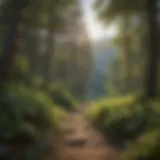 Scenic view of Bear Mountain with lush greenery