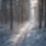 Scenic trail winding through snow-covered forest in Eagle River, WI