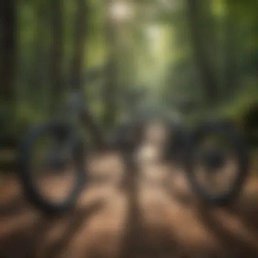 Scenic view of Asheville with e-bikes parked on a trail