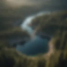 Aerial view of Lake Tahoe surrounded by lush pine forests