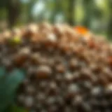 A close-up of diverse edible seeds