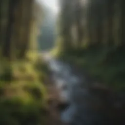 A scenic view of Estacada, showcasing its vibrant community and natural surroundings.