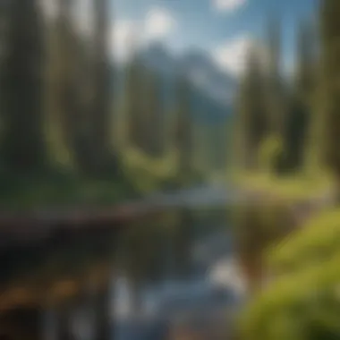 Lush Landscapes of the Flathead Region Scenic view of the Flathead region showcasing lush forests and waterways.