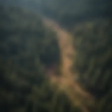 Aerial view of logging practices in the Flathead region, emphasizing sustainable methods.