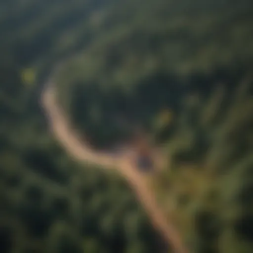 Aerial view of a modern forest management site with technology integration