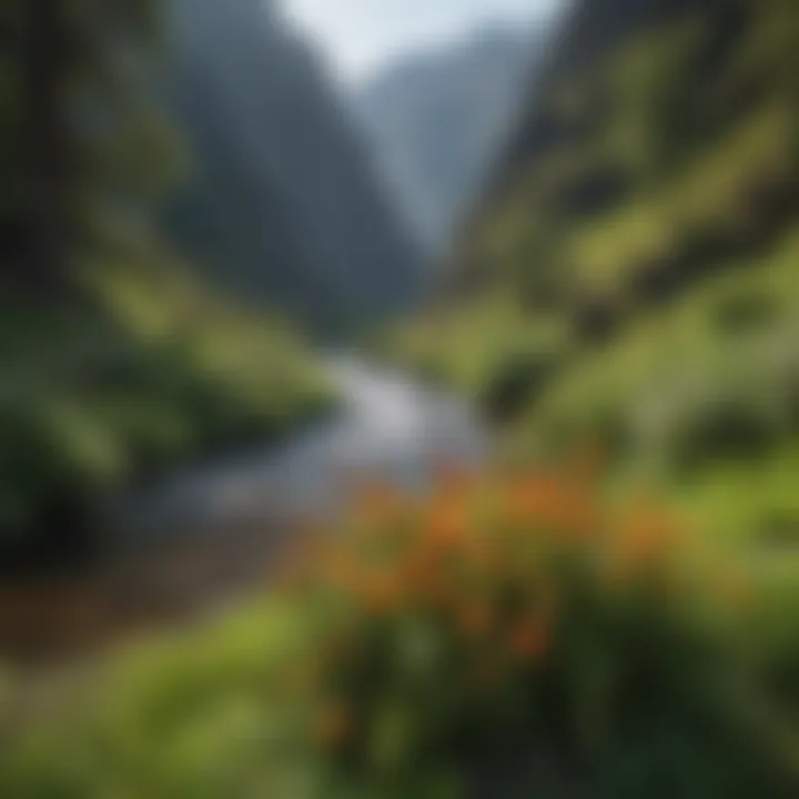 A close-up of the diverse flora and fauna found in the unique ecosystem of Hells Canyon.