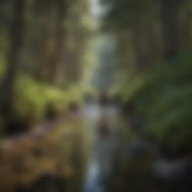 Hiker crossing a serene stream