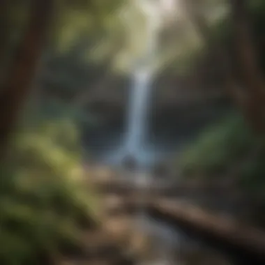 Hiker gazing at a serene waterfall in a forested trail