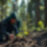 Volunteers planting trees in a forest