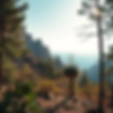 Biodiversity of Indian Canyon Rich biodiversity featuring native species in their natural habitat