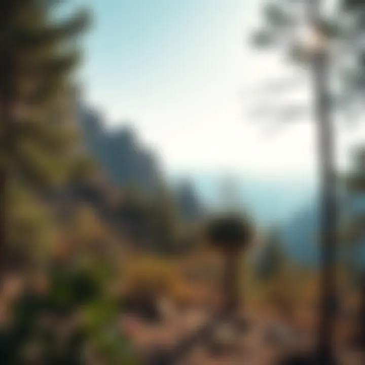 Biodiversity of Indian Canyon Rich biodiversity featuring native species in their natural habitat