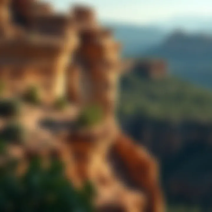 Geological Formations of Indian Canyon Geological formations highlighting the unique structure of the canyon