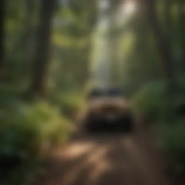 Close-up of diverse flora along a Jeep trail, showcasing ecological significance