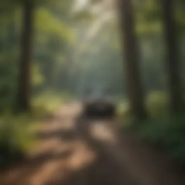 Map of Jeep trails in Mark Twain National Forest, indicating sustainable routes
