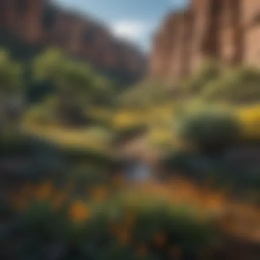 Vibrant landscape showcasing the diverse flora of Jemez Land